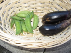 2018.12月号写真④