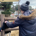 D0DBAFB7-B52C-46F5-85FE-8CBB5801CA15