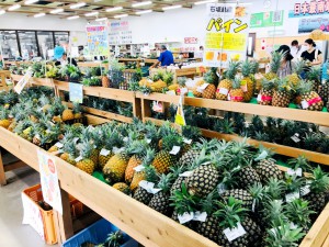 パイナップル陳列