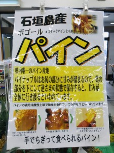 ボゴールパイン