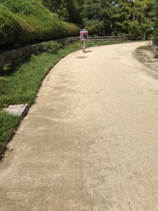 line_186986571324598