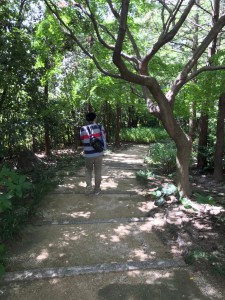 line_186988263750274