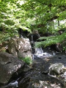 line_186990809368242