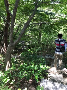 line_186991554848502