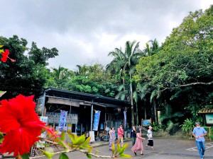 密林に囲まれた店で飲む天然生ジュース
