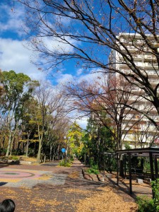 20201123 秋の遠足_201203_36