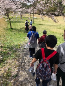 line_1242284142364489