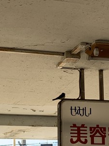 5B45C4AF-9958-4C51-A087-51348A6D1432