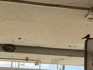 6E77A7A3-0332-467F-A1FE-774A616AF6CD