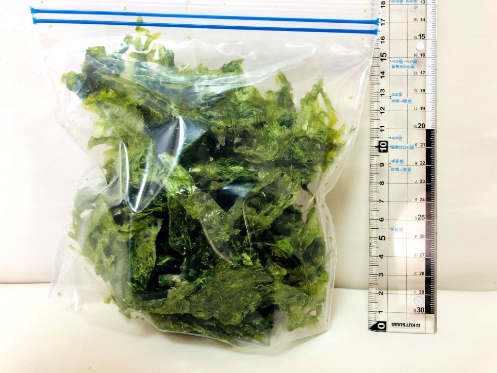 アーサー冷凍パック