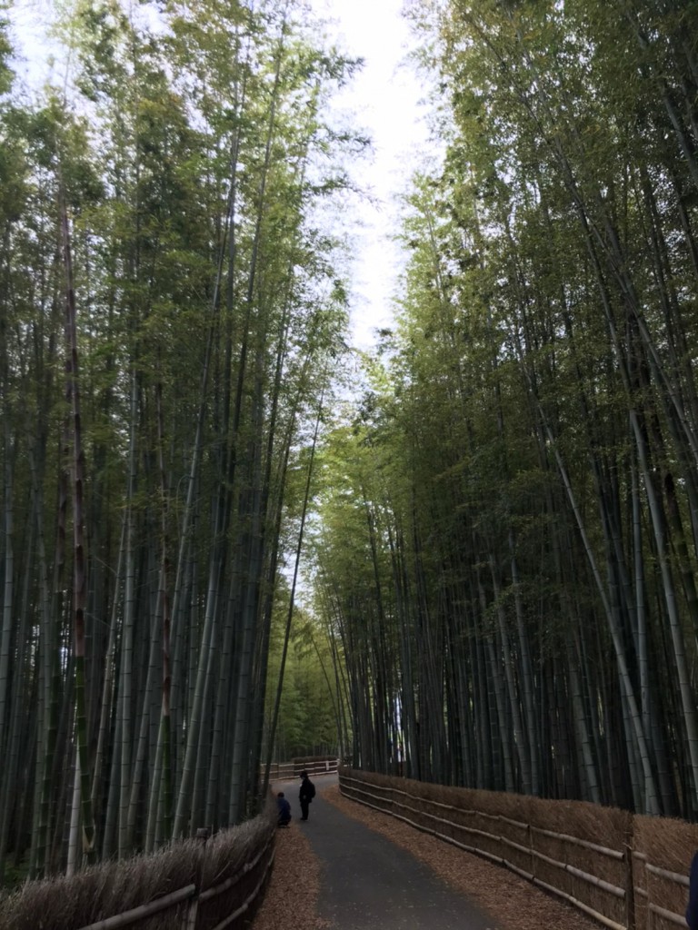 line_9047116208598378