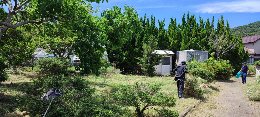 1627442151754_resize