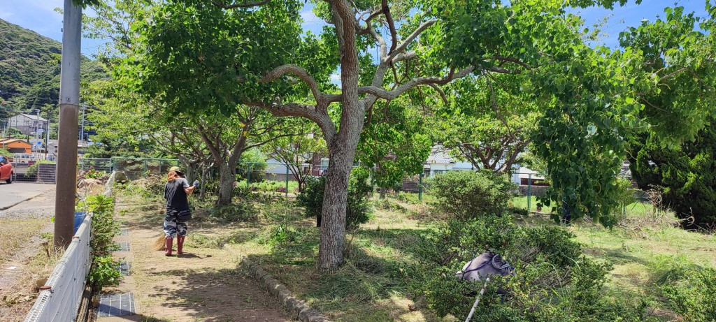 IMG_20210720_134542_resize