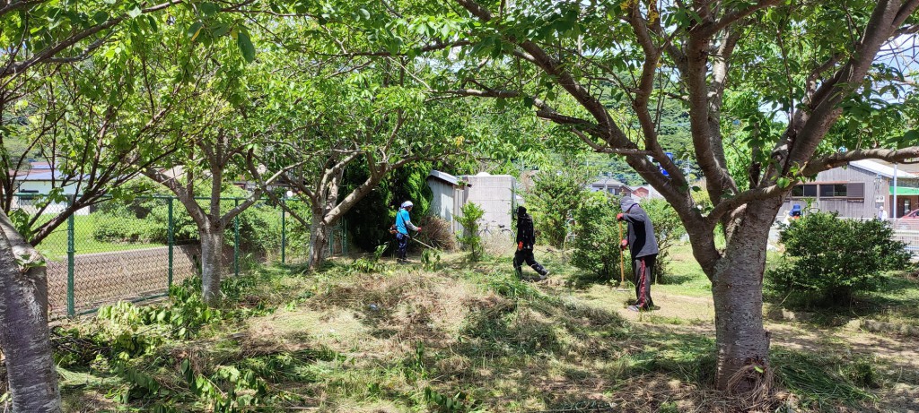 IMG_20210720_134614_resize