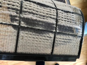 すごい埃…(^^;)