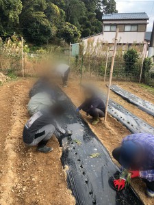 Polish_20211214_105801462