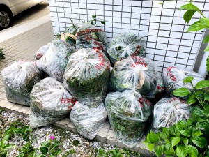 たくさんのゴミ袋