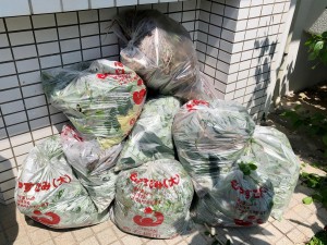 今回の収穫！？