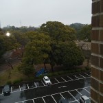 公会堂から見た雨の鶴舞公園