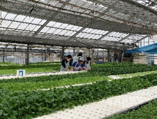 体験・イベント（写真）