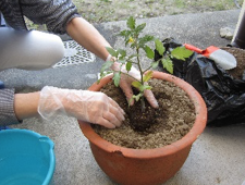 いろんな経験（写真）